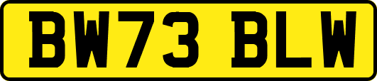 BW73BLW