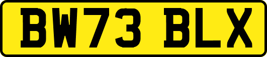 BW73BLX