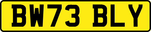 BW73BLY