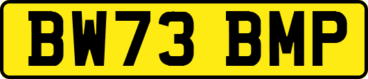 BW73BMP