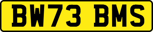 BW73BMS