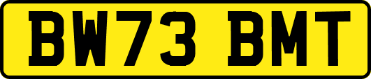 BW73BMT