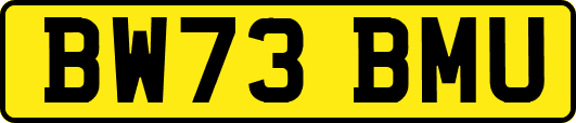 BW73BMU