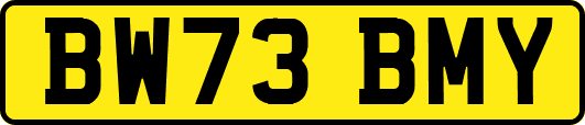 BW73BMY