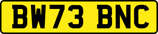 BW73BNC