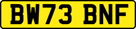 BW73BNF