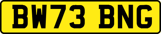 BW73BNG