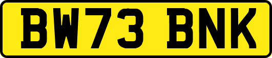 BW73BNK