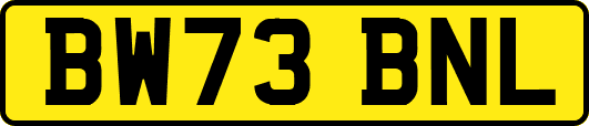BW73BNL