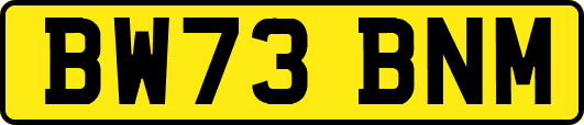BW73BNM