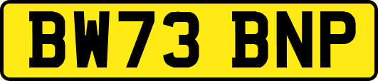 BW73BNP