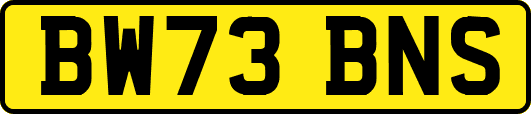 BW73BNS