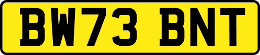 BW73BNT