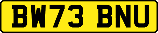 BW73BNU
