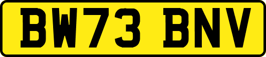 BW73BNV