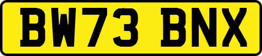 BW73BNX