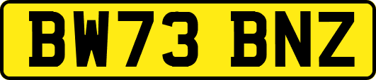 BW73BNZ