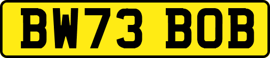 BW73BOB