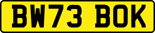 BW73BOK
