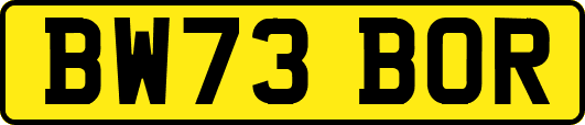 BW73BOR