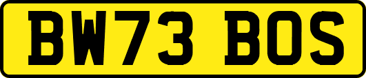 BW73BOS