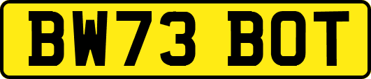BW73BOT