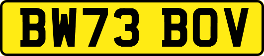 BW73BOV