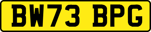 BW73BPG