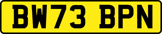 BW73BPN