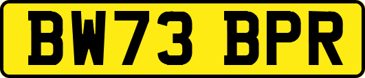 BW73BPR