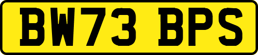 BW73BPS