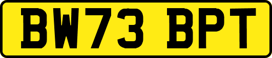 BW73BPT