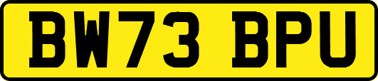 BW73BPU