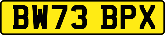 BW73BPX