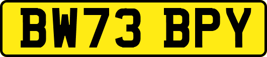 BW73BPY