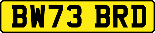 BW73BRD
