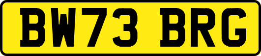 BW73BRG