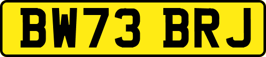 BW73BRJ