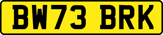 BW73BRK