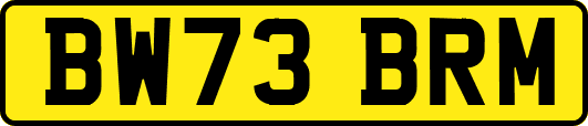 BW73BRM
