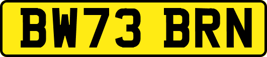 BW73BRN