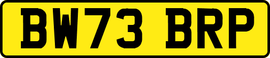 BW73BRP