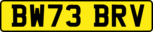 BW73BRV