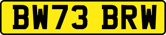 BW73BRW