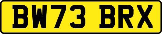 BW73BRX