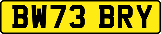 BW73BRY