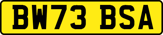 BW73BSA