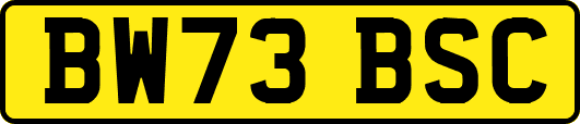BW73BSC