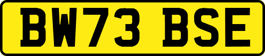 BW73BSE