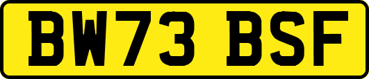 BW73BSF